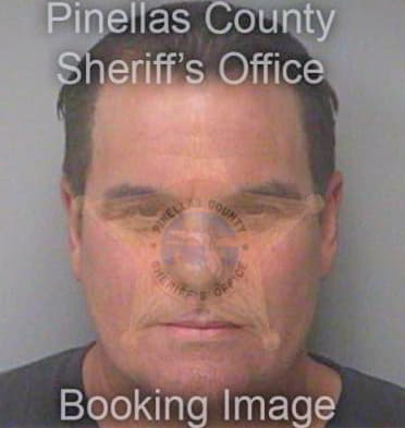 Lee David - Pinellas County, FL 