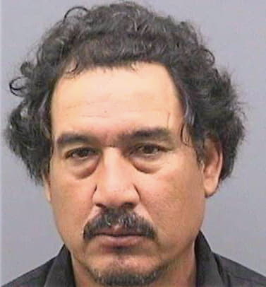 Vazquez Arnulfo - Hillsborough County, FL 