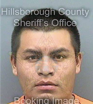 Gonzalezantonio Bartolome - Hillsborough County, FL 