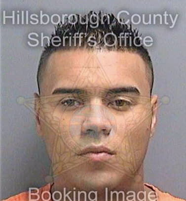 Cuevas Josue - Hillsborough County, FL 