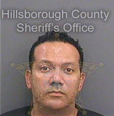 Carmichael Robert - Hillsborough County, FL 