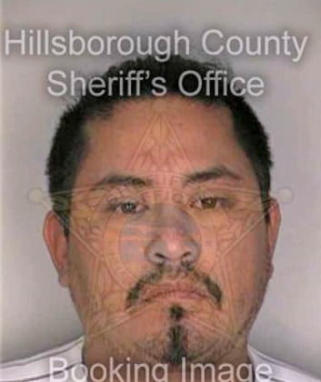 Mena Juan - Hillsborough County, FL 