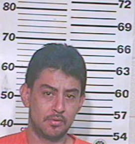 Hernandez Orlando - Hidalgo County, TX 