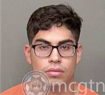 Alverez Ivan - Montgomery County, TN 