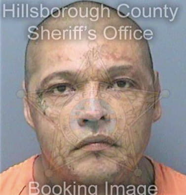 Torres Heriberto - Hillsborough County, FL 