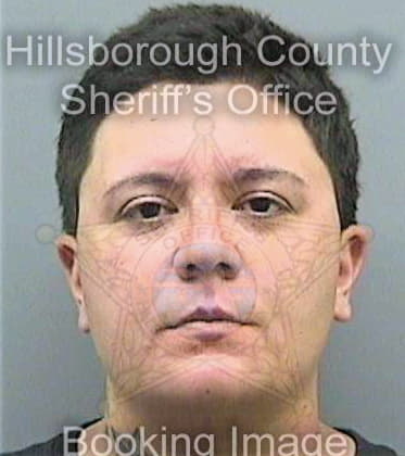 Garcia Arlene - Hillsborough County, FL 