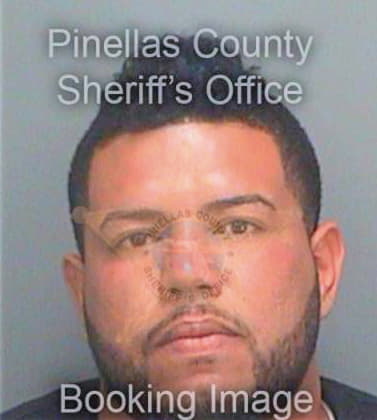 Roman Juan - Pinellas County, FL 