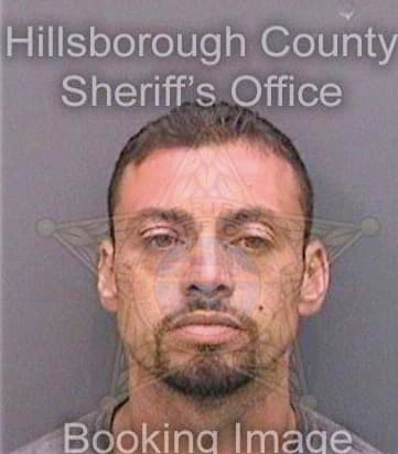 Cazaz Alexander - Hillsborough County, FL 