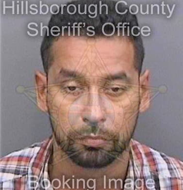 Soto Wilfredo - Hillsborough County, FL 