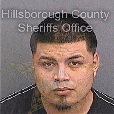 Bravo Damaso - Hillsborough County, FL 