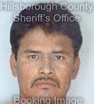 Hernandez Anastasio - Hillsborough County, FL 