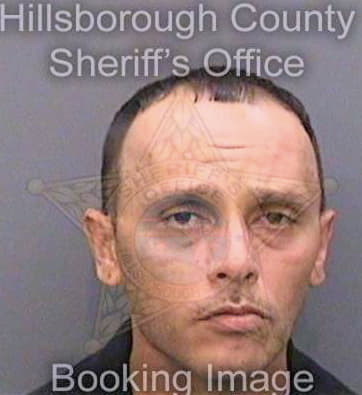 Gonzalez Carlos - Hillsborough County, FL 