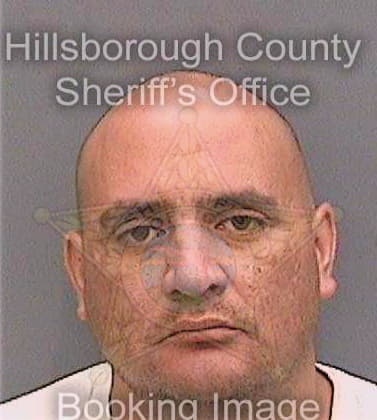 Medal Oscar - Hillsborough County, FL 