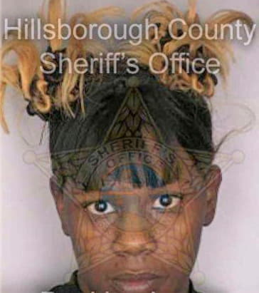Simon Chauncey - Hillsborough County, FL 