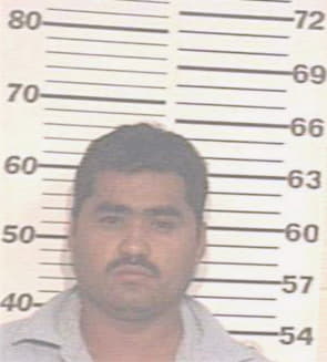 Perez Ernesto - Hidalgo County, TX 