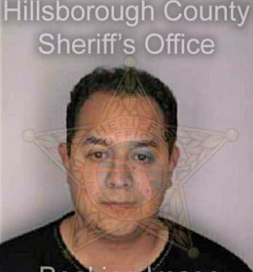 Nieves Gerardo - Hillsborough County, FL 