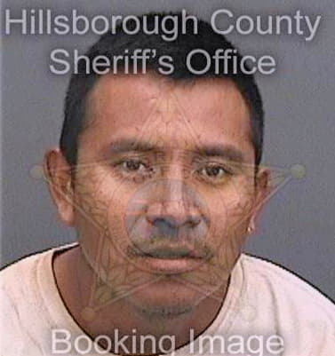 Francisco Julio - Hillsborough County, FL 