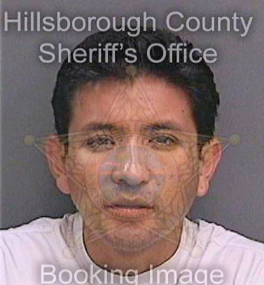 Beltran David - Hillsborough County, FL 