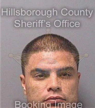 Mejiarosado Miguel - Hillsborough County, FL 
