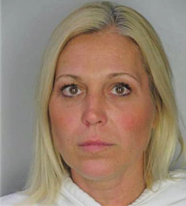 Mcveigh Lisa - Hillsborough County, FL 