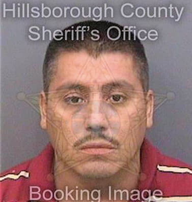 Lopezmorales Santiago - Hillsborough County, FL 