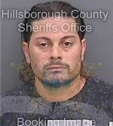 Torresfigueroa Jorge - Hillsborough County, FL 