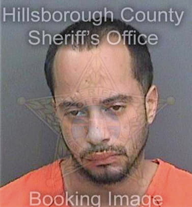 Ortiz Norberto - Hillsborough County, FL 