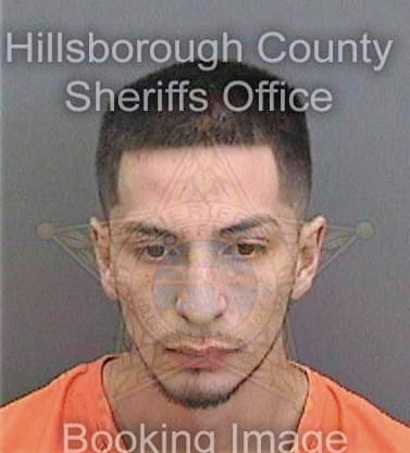 Carrillo Daniel - Hillsborough County, FL 