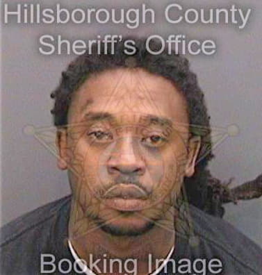 Davis Lewis - Hillsborough County, FL 