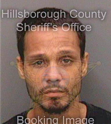 Perez Manuel - Hillsborough County, FL 