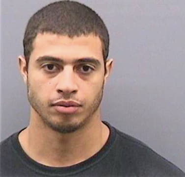 Bracero Anthony - Hillsborough County, FL 