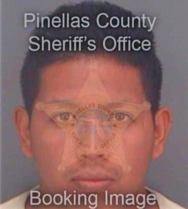 Hernandez Juan - Pinellas County, FL 