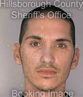 Sanchez Emanuel - Hillsborough County, FL 