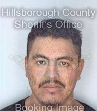 Gonzalez Ranulfo - Hillsborough County, FL 