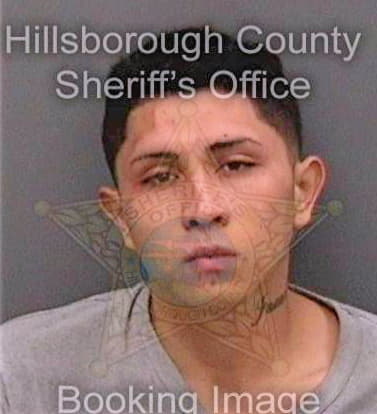 Juarez Alonzo - Hillsborough County, FL 