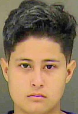 Enriquez Samantha - Mecklenburg County, NC 