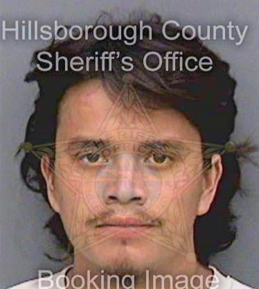 Velazquez Daniel - Hillsborough County, FL 