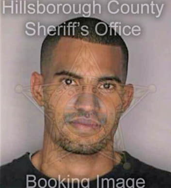 Mendoza Elvin - Hillsborough County, FL 