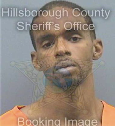 Johnson Garry - Hillsborough County, FL 