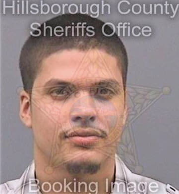 Sanchez Aicardo - Hillsborough County, FL 