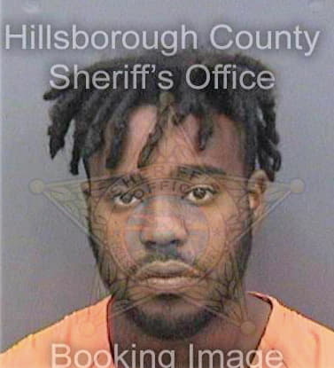 Sinisterra Louis - Hillsborough County, FL 