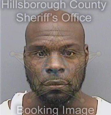 Smith Demetrius - Hillsborough County, FL 