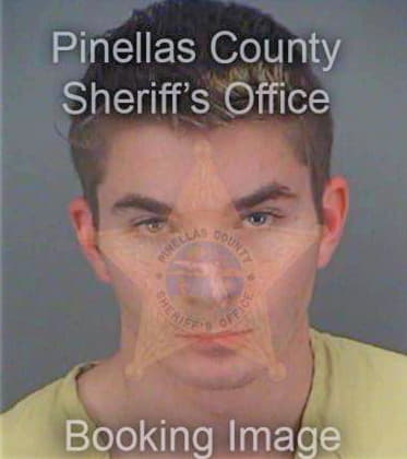 Powell Andrew - Pinellas County, FL 