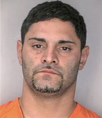 Negron Carlos - Hillsborough County, FL 