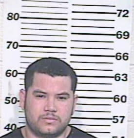 Hernandez Ismael - Hidalgo County, TX 