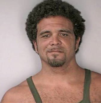 Simmons Reginald - Hillsborough County, FL 