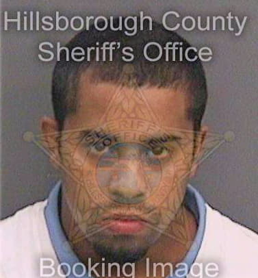 Gonzalez Arsenio - Hillsborough County, FL 