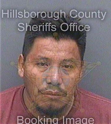 Chavezhernandez Lorenzo - Hillsborough County, FL 