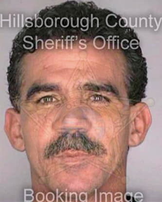 Boissalier Pedro - Hillsborough County, FL 