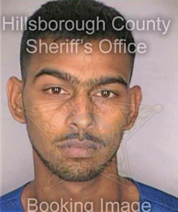 Ramcharan Basant - Hillsborough County, FL 